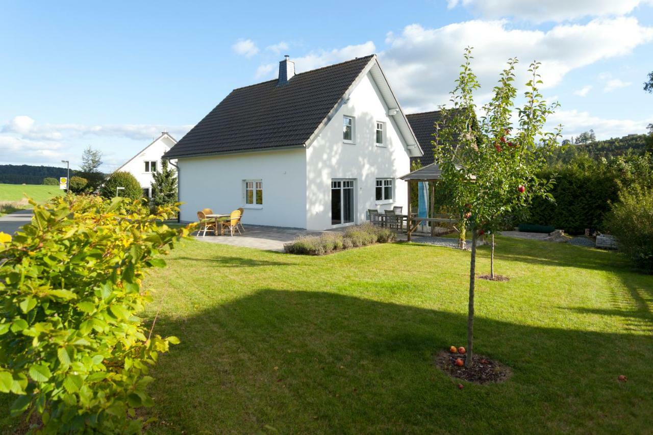 Villa Meisen Medebach Esterno foto